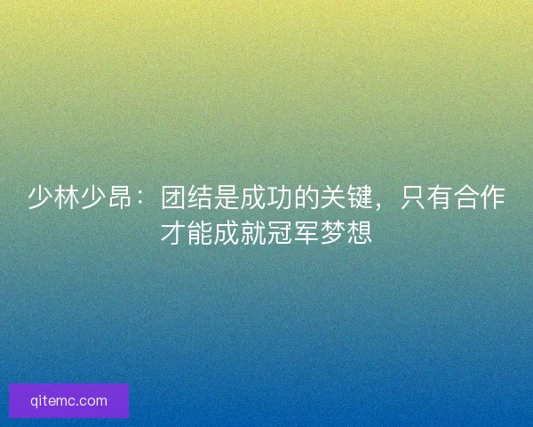 少林少昂:团结是成功的关键,只有合作才能成就冠军梦想 少林少昂:团结是成功的关键,只有合作才能成就冠军梦想